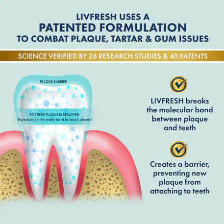 LIVFRESH Wintergreen - Image 3